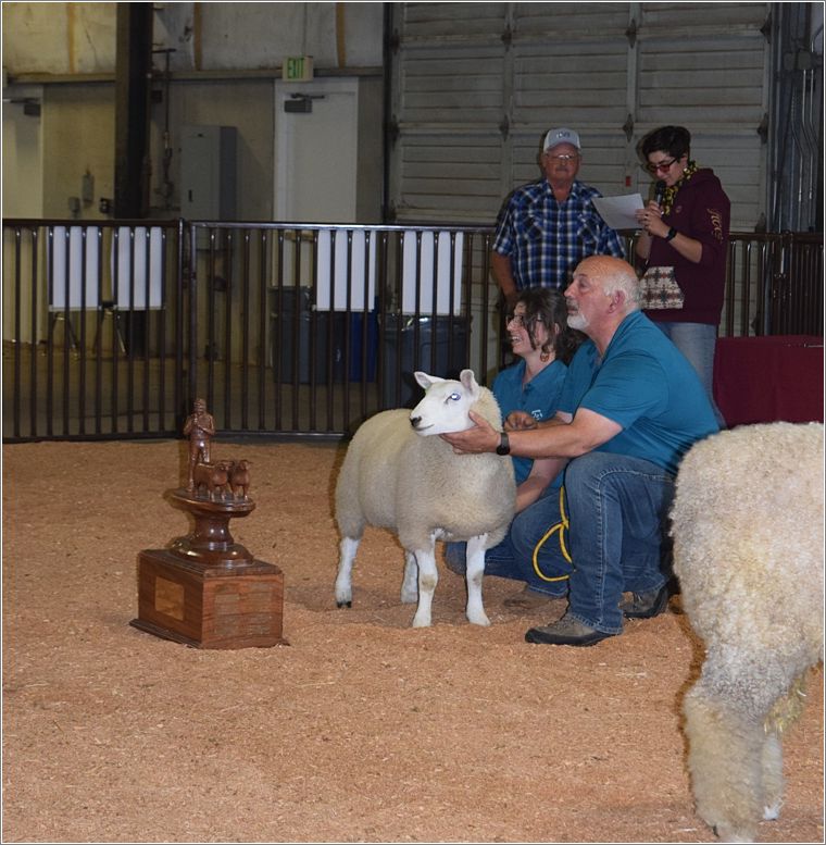 Distracted Acres received the Glen Eidman Memorial Trophy for Best of Show for their ewe. Photo: Peggy Lundquist.